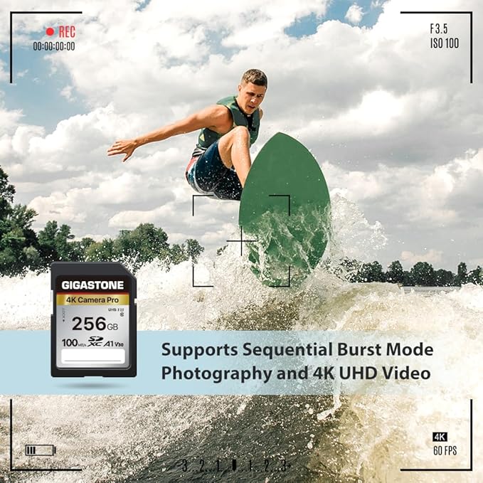 [5-Yrs Free Data Recovery] GIGASTONE 256GB 2-Pack SD Card, 4K Camera Pro, A1 V30 SDXC Memory Card 4K UHD Video Compatible with Canon Digital Camera, with 2 Mini Cases