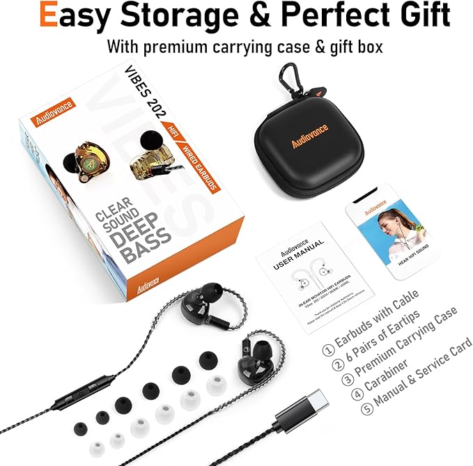 Vibes 202MC USB-C Wired Earbuds - HiFi in Ear Monitor Headphones - Noise Isolating Ear Buds w/ Mic - Clear Sound, Deep Bass & Comfort-Fit Earphones - MMCX to USBC, Silver Plated Cord, Carrying Case
