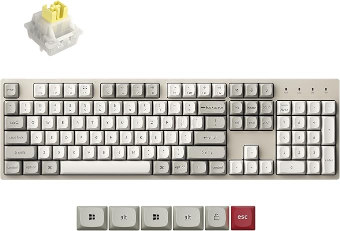 Keychron C2 Pro Wired Mechanical Keyboard with 8K Hz Polling Rate, Full Size Custom RGB Backlit Hot-Swappable, Non-Shine Through PBT Keycaps Compatible with Mac Windows Linux (Silent Banana Switch)