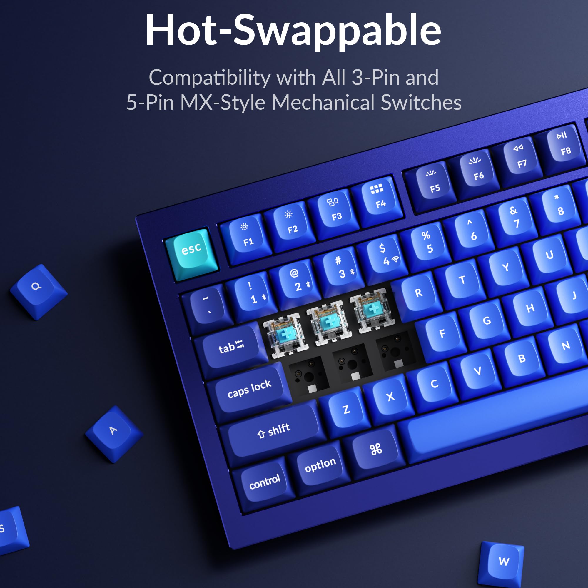 Keychron Q1 RGB Wired Custom Mechanical Keyboard, 75% Layout QMK/VIA Programmable Macro with Hot-swappable Gateron G Pro Blue Switch Double Gasket Compatible with Mac Windows Linux (Blue) -Version 2