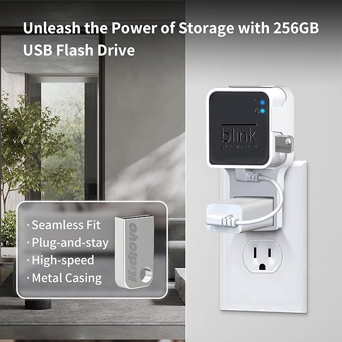 256GB USB Flash Drive & Outlet Wall Mount for Blink Sync Module 2 with Short Cable - Save Space - No Messy Wires - Easy Move Mount Bracket Holder for Blink Outdoor Indoor Security Camera (2 Pack)