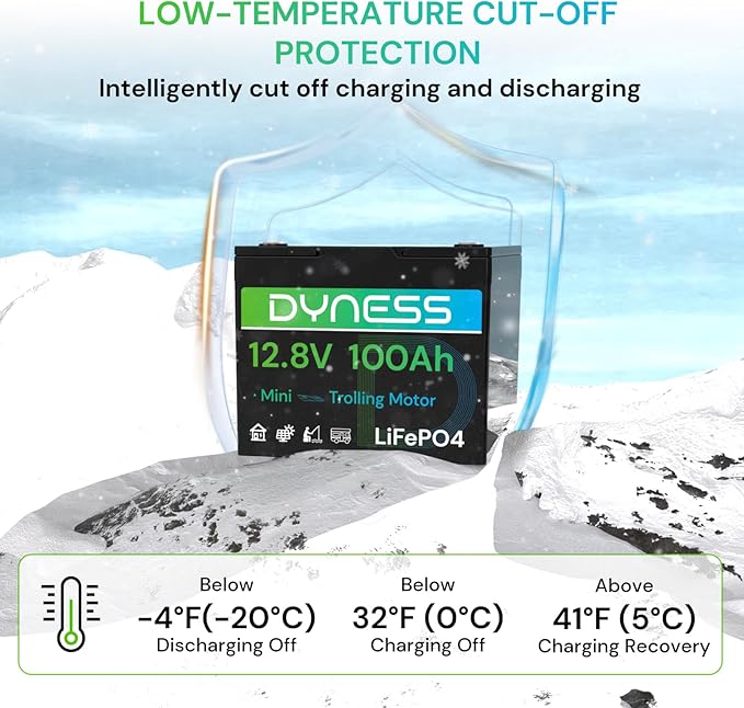 12V 100Ah Mini LiFePO4 Battery 4 Pack Group 24, 12 Volt Deep Cycle Lithium Battery with 100A BMS, Low-Temp Protection & 10 Years Lifespan for RV, Boat, Trolling Motor, Solar Off-Grid, Golf Cart