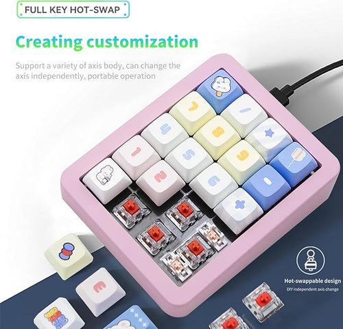 Adventurers K812 Wired Mechanical Numeric Keypad, 19-Key Hot-Swappable RGB Numpad, Macro Programmable, Detachable Type-C Cable, Game/Office Mode Switch – for PC/Laptop/Desktop (Pink)