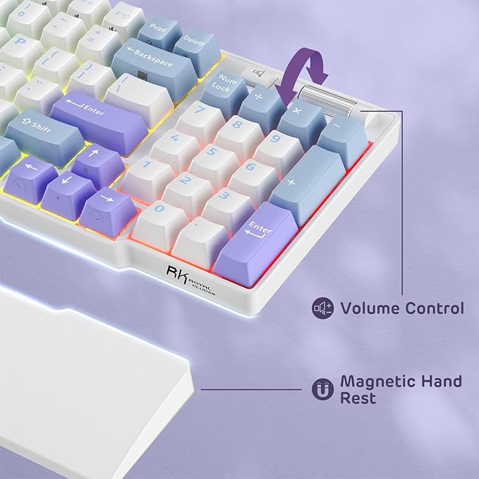RK ROYAL KLUDGE RK96 RGB Limited Ed, 90% 96 Keys Wireless 3-Mode BT5.0/2.4G/USB-C Hot Swappable Mechanical Keyboard w/Wrist Rest, Volume Control, Software, Massive Battery, RK Pale Green Switch