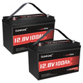 Dumfume 2 Packs 12V 100Ah LiFePO4 Lithium Battery 100A BMS