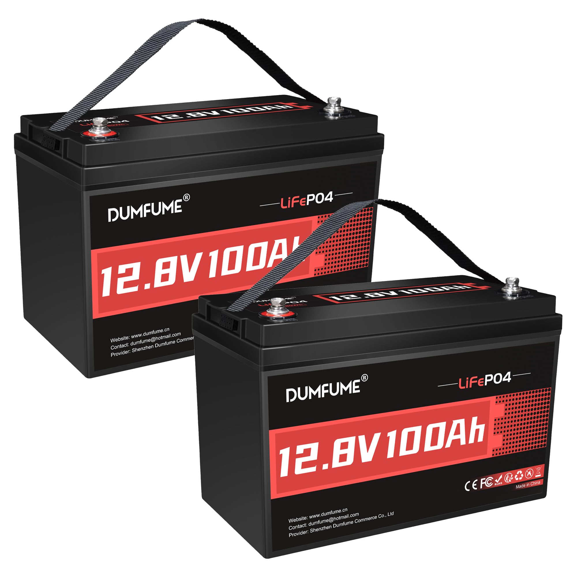 Dumfume 2 Packs 12V 100Ah LiFePO4 Lithium Battery 100A BMS