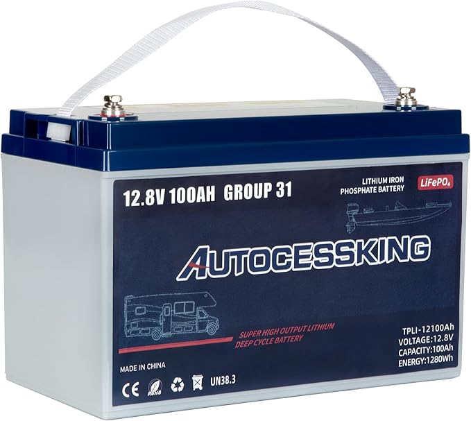 12V 100Ah BCI Group 31 LiFePO4 Battery, 100A BMS Rechargeable Lithium Battery with Low-Temp Protection, Up to 15000 Cycles Perfect for RV, Camping, Solar, Off-Grid and Boat