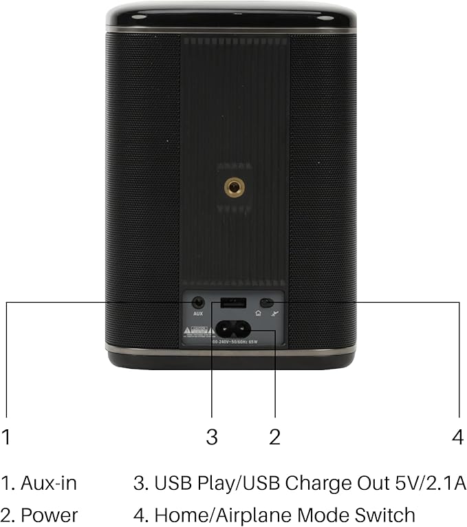 RIVA Upgraded Arena Wi-Fi Bluetooth Hi-Fi Speaker, 6 Drivers, 50W, Multiroom Music System, Supports Airplay 2, Chromecast, Spotify, Tidal and More Streaming (Black)
