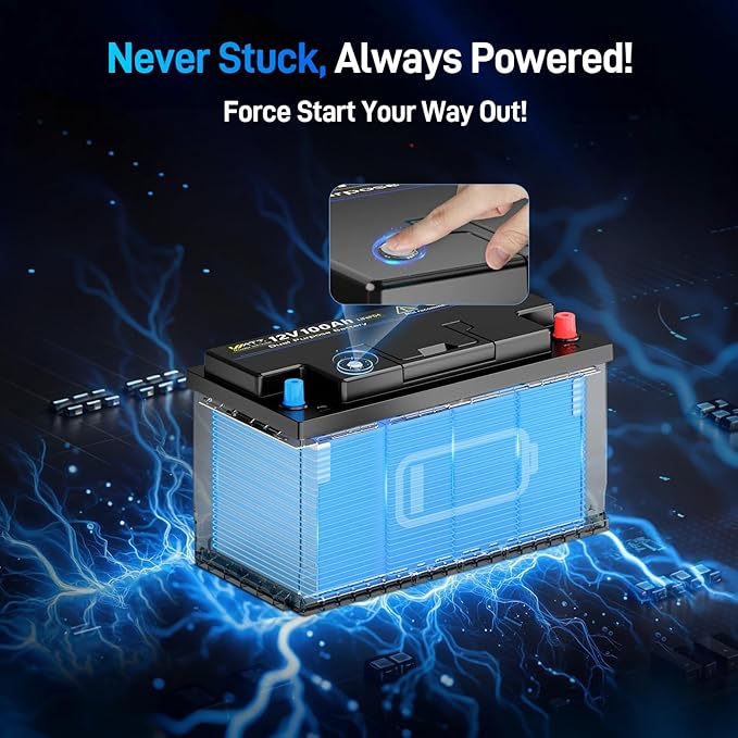 12V 100Ah Bluetooth LiFePO4 Battery, [Cranking &Deep Cycle] Lithium Battery with Self-Heating, Built-in 200A BMS, Perfect for Trolling Motor, RV, Marine, Boat(3 Pack)
