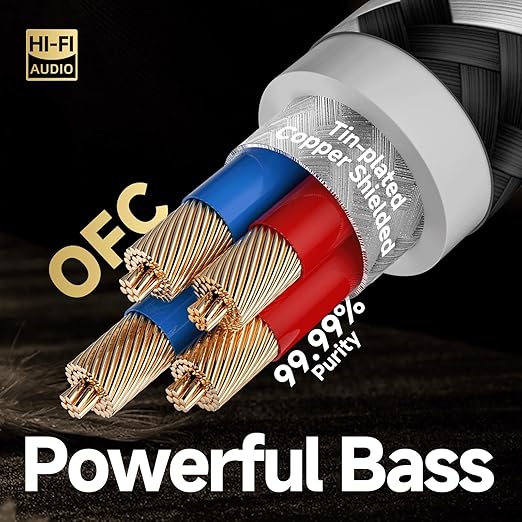 TODN Auidophile 2RCA Male to Male Stereo Audio Cable, OFC RCA Cables for Subwoofer, Home System (9.8ft/3m, 1 Pair)