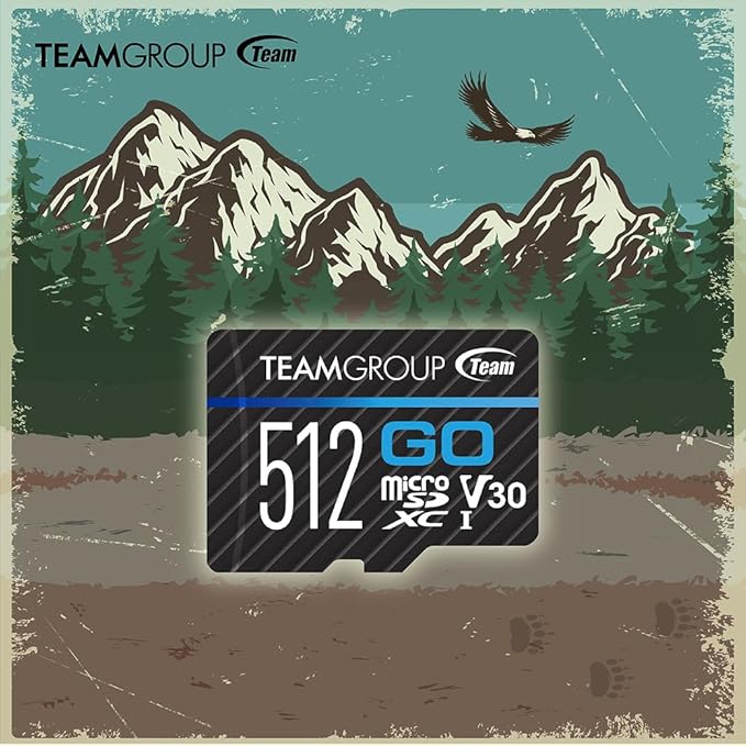 TEAMGROUP GO Card 256GB Micro SDXC UHS-I U3 V30 4K for GoPro & Action Cameras High Speed Flash Memory Card for Outdoor, Sports, 4K Shooting TGUSDX256GU302