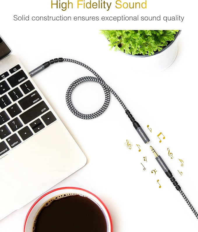 BlueRigger Headphone Extension Cable (10FT, 24K Gold Plated Jack, Hi-Fi Sound, 3.5mm Male to Female Stereo Audio Cable) – Aux Cord for iPod, Laptops, Smartphones, Speakers, Tablets, Home Car Stereo