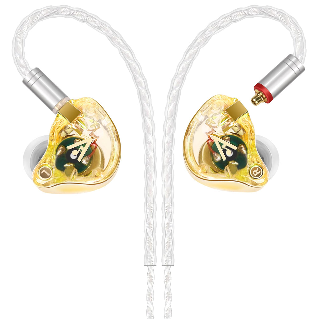 Audiovance Vibes 202 HiFi Wired Earbuds, IEM in Ear Monitor Headphones