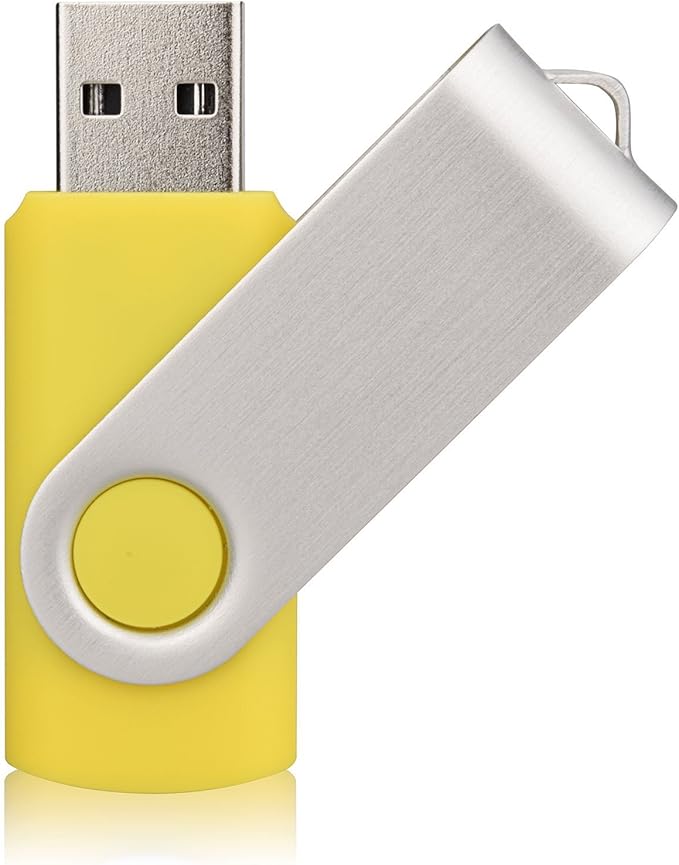 Aiibe 10 Pack 128GB Flash Drive USB Drive Thumb Drives USB 2.0 Memory Stick Jump Drives 128GB USB Flash Drive Bulk (10 Mixed Colors: Black Blue Red Green Orange White Yellow Pink Purple Silver)
