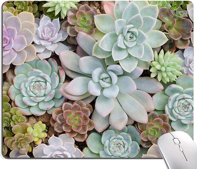 Mouse Pad, Cute Succulent Cactus Plants Mouse Pads, Square Washable Cloth Personalized Mouse Mat with Design, Gaming Office Home Non-Slip Rubber Base Computer Mousepad