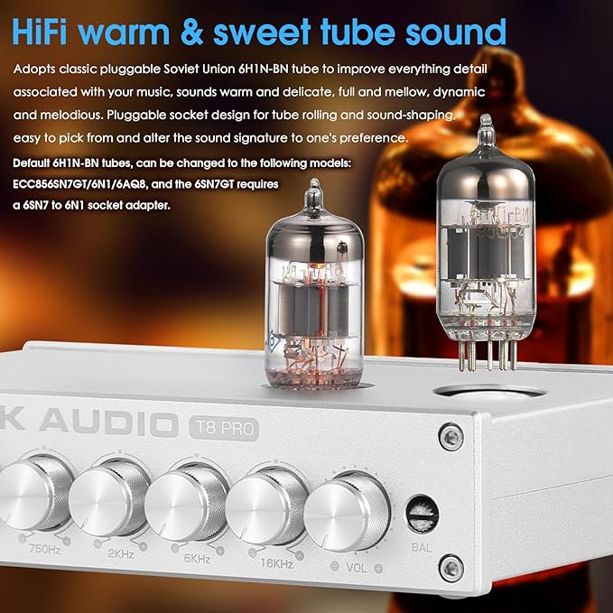 Douk Audio HiFi Vacuum Tube 7-Band EQ Preamp Equalizer XLR Pre-Amplifier Home (T8 PRO Silver)