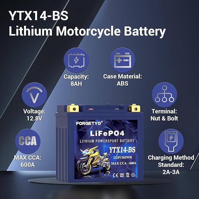 YTX14-BS Lithium Motorcycle Battery, ATV Battery 12V 8AH 600CCA Compatible with Yamaha Scooter Snowmobile Jet Ski, Scooter, PWC & More