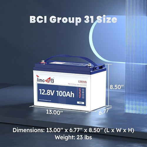 12V 20Ah LiFePO4 Lithium Battery, 4000+ Deep Cycle Rechargeable Battery with BMS for Fish Finder, Ham Radio, Solar System, Outdoor Camping