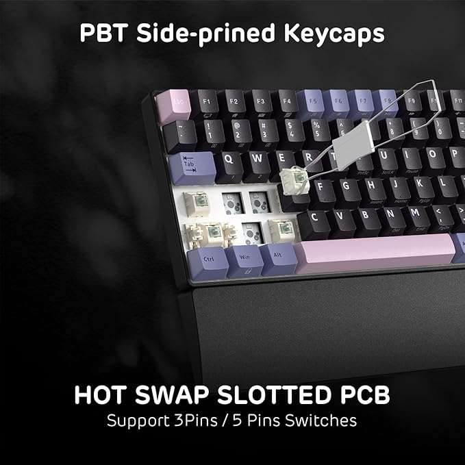 RK ROYAL KLUDGE RK96 RGB Wireless Mechanical Gaming Keyboard w/Wrist Rest