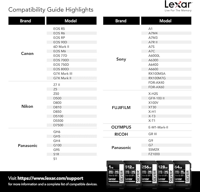 Lexar 128GB Professional Silver SD Card, UHS-I, C10, U3, V30, 4K, Up to 205/140 MB/s SDXC Memory Card, for Professional Photographer, Videographer, Enthusiast (LSDSILV128G-BNNNU)