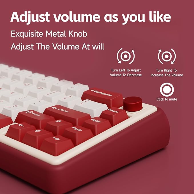 Chilkey Foxy65 Mechanical Keyboard with Knob, Gasket Mount 65% Aluminum Wireless Mechanical Keyboard, BT5.0/2.4GHz/USB-C, Hot Swappable, RGB Backlit Computer Custom Key Board for PC