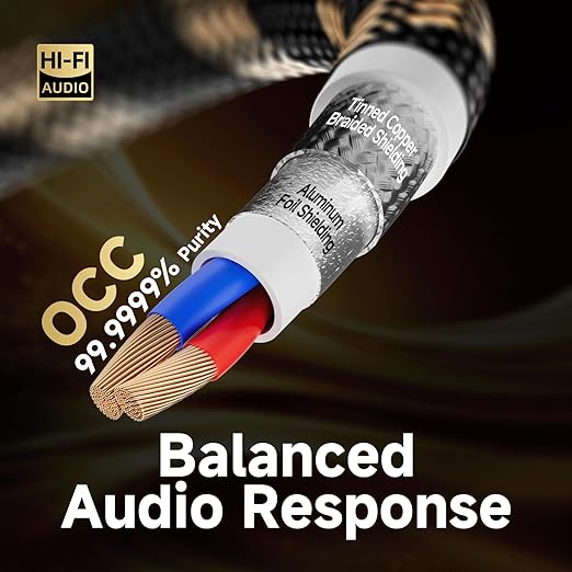 TODN HiFi RCA Audio Cable Audiophile RCA Cables for Car Audio with O-C-C Copper Core, Dual Shielded (10 ft/3m, 1 Pair)