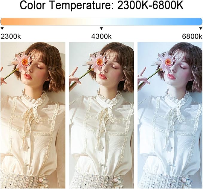 GVM 480 LED Video Light with Tripod, Dimmable 2300K-6800K LED Video Lighting with APP Control, SLED Photography Continuous Light for Studio Light for Studio YouTube Video Studio Set, Video Lamp