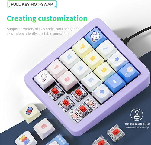 Adventurers K812 Wired Mechanical Numeric Keypad, 19-Key Hot-Swappable RGB Numpad, Macro Programmable, Detachable Type-C Cable, Game/Office Mode Switch – for PC/Laptop/Desktop (Purple)