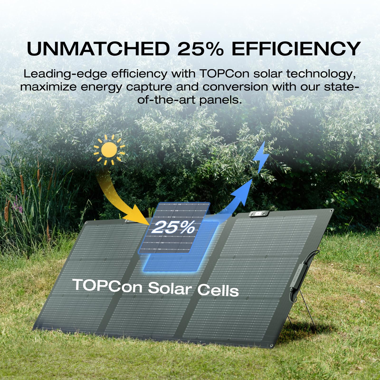 EF ECOFLOW Solar Generator Delta 2 Max with 2x160W Solar Panel