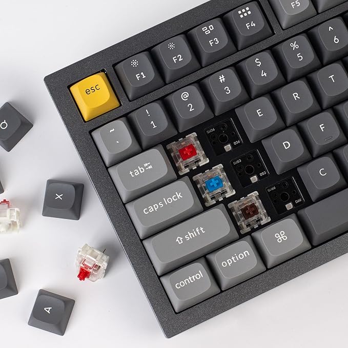 Keychron Q1 RGB Wired Custom Mechanical Keyboard Knob Version, 75% Layout QMK/VIA Programmable with Hot-swappable Gateron G Pro Red Switch Double Gasket Compatible with Mac Windows Linux (Grey)
