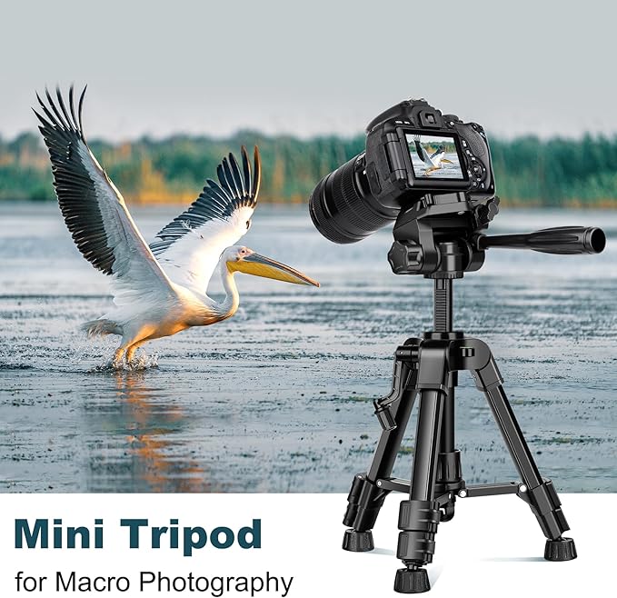 JOILCAN Mini Tripod for Camera, 25" Tabletop Camera Tripod, Portable Travel Tripod w/Phone & Tablet Holder, Lightweight Aluminum Tripods for DSLR Phone Spotting Scope