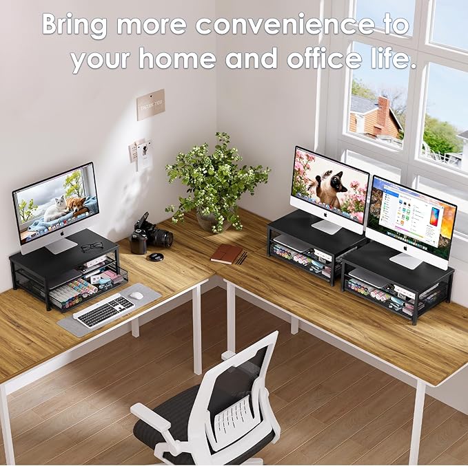 Desk Organizers and Accessories, 2-Tier Computer Monitor Stand Riser with Drawer, Laptop Stand, Office Desk Accessories, Workspace Desktop Organizer for Office Supplies, Black