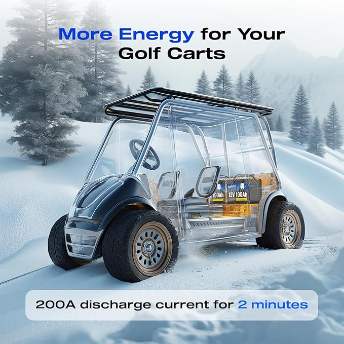 12V 100Ah LiFePO4 Lithium Battery 2 Pack - BCI Group 24, 15000 Cycles, Built-in 100A BMS, Low-Temperature Protection - Ideal for RVs, Golf Cart, Home Energy Storage, Marine (2 Pack)