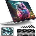 Tuiklol for M4 MacBook Pro 14 Inch Case 2024-2021 Release A3112 A3401 A3185/M3 A2918 A2992/M2 A2779/M1 A2442 Pro/Max Chip,Hard Shell Case with Screen Protector for Touch ID,Rainbow owl