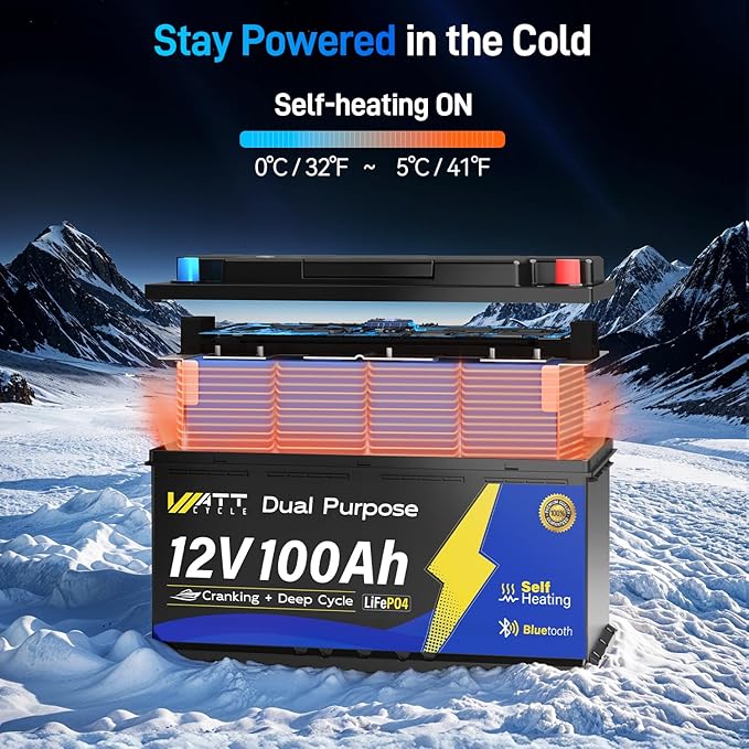 12V 100Ah Bluetooth LiFePO4 Battery, [Cranking &Deep Cycle] Lithium Battery with Self-Heating, Built-in 200A BMS, Perfect for Trolling Motor, RV, Marine, Boat(3 Pack)