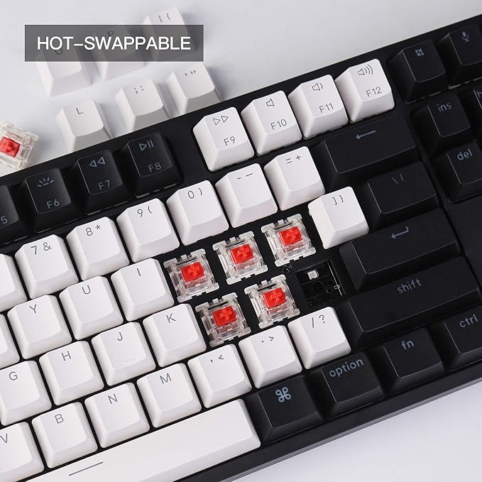 Keychron C1 Wired Mechanical Keyboard TKL, RGB Backlit with Double-Shot ABS Keycaps, 87 Keys Hot-Swappable Pre-lubed Linear Switch Compatible with Mac Windows