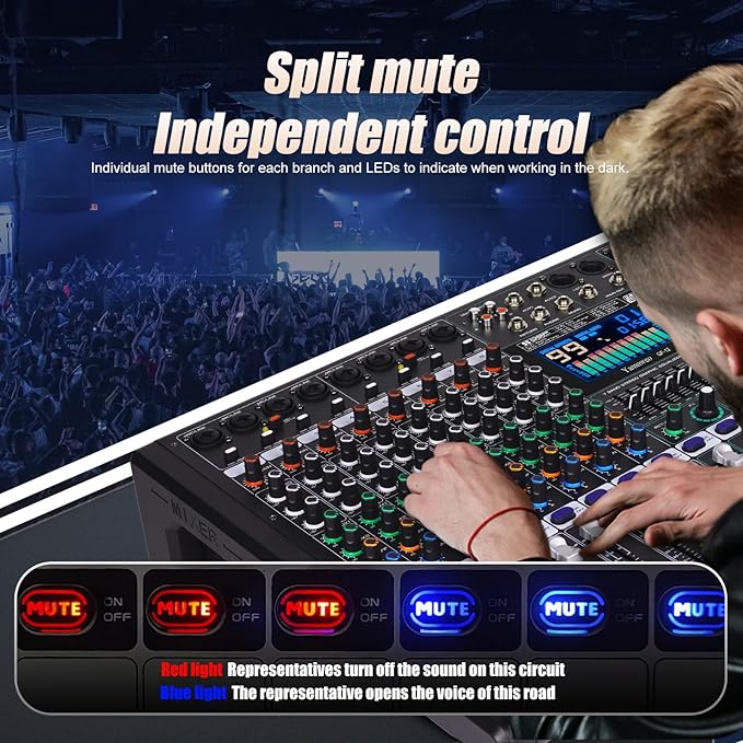 GF12 Multifunction 12 Channel Audio Mixer Stage Performance Mixer Isolated Independent Mute Built-in 7 Level Equalizer and 99 Reverb DJ Mixer for Stage Performance/Karaoke/DJ Music