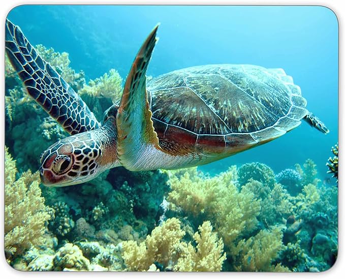 Green sea Turtle Mouse pad, Natural Rubber Mouse Pad, Quality Creative Wrist-Protected Wristbands Personalized Desk, Mouse Pad (9.5 inch x 7.9 inch)