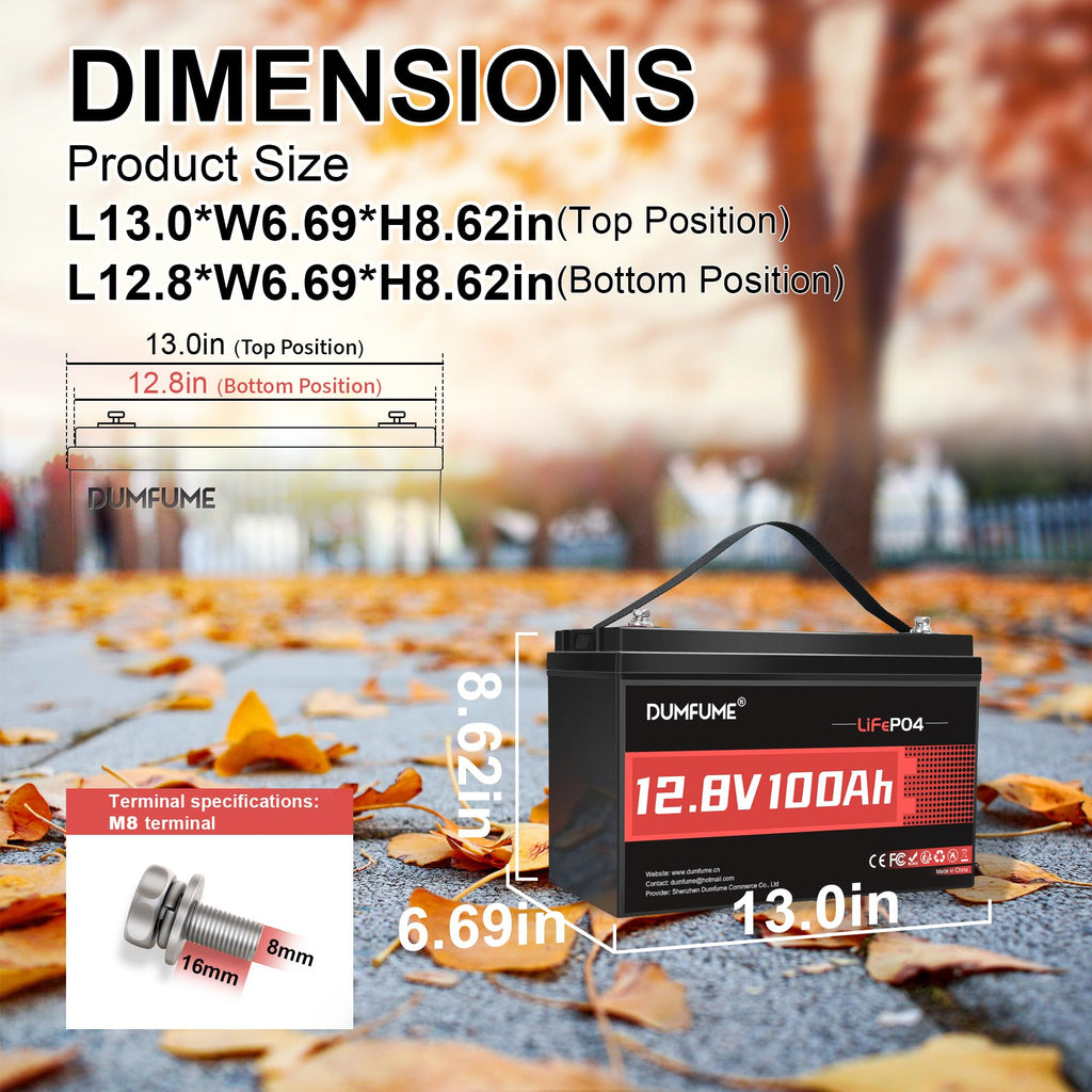 Dumfume 12V 100Ah LiFePO4 Lithium Battery Group 31 Rechargeable Battery
