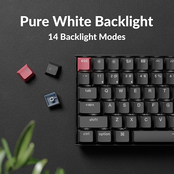 Keychron K2 75% Layout QMK Wireless and Wired Options Mechanical Keyboard Super Banana Switch, Paired with Shine-Through Double-Shot PBT Keycaps for Mac Windows-Version 3