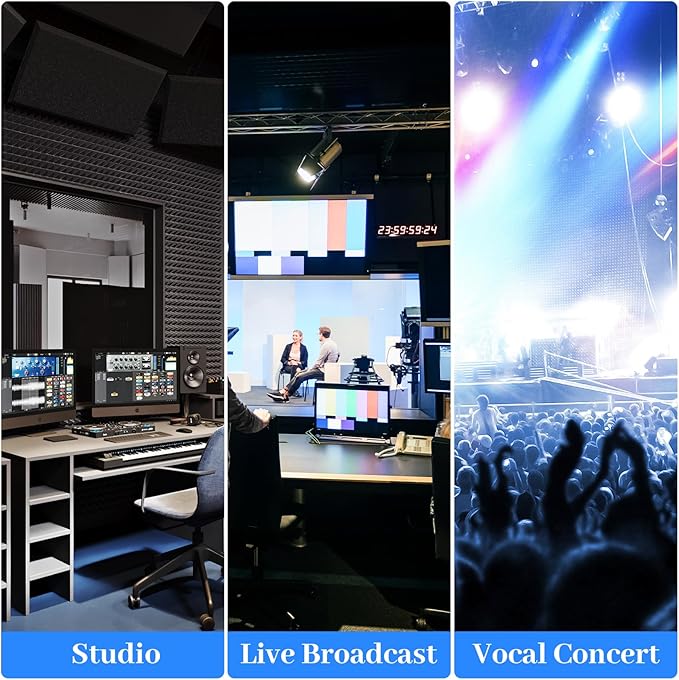 6-Channel Professional Audio Mixer, FX-6usb Mixing Console with XLR Inputs, Bluetooth, 99 DSP Effects, MP3, USB Interface for Podcast, Music, Recording, PC 13.39"x3.54"x12.60"inches