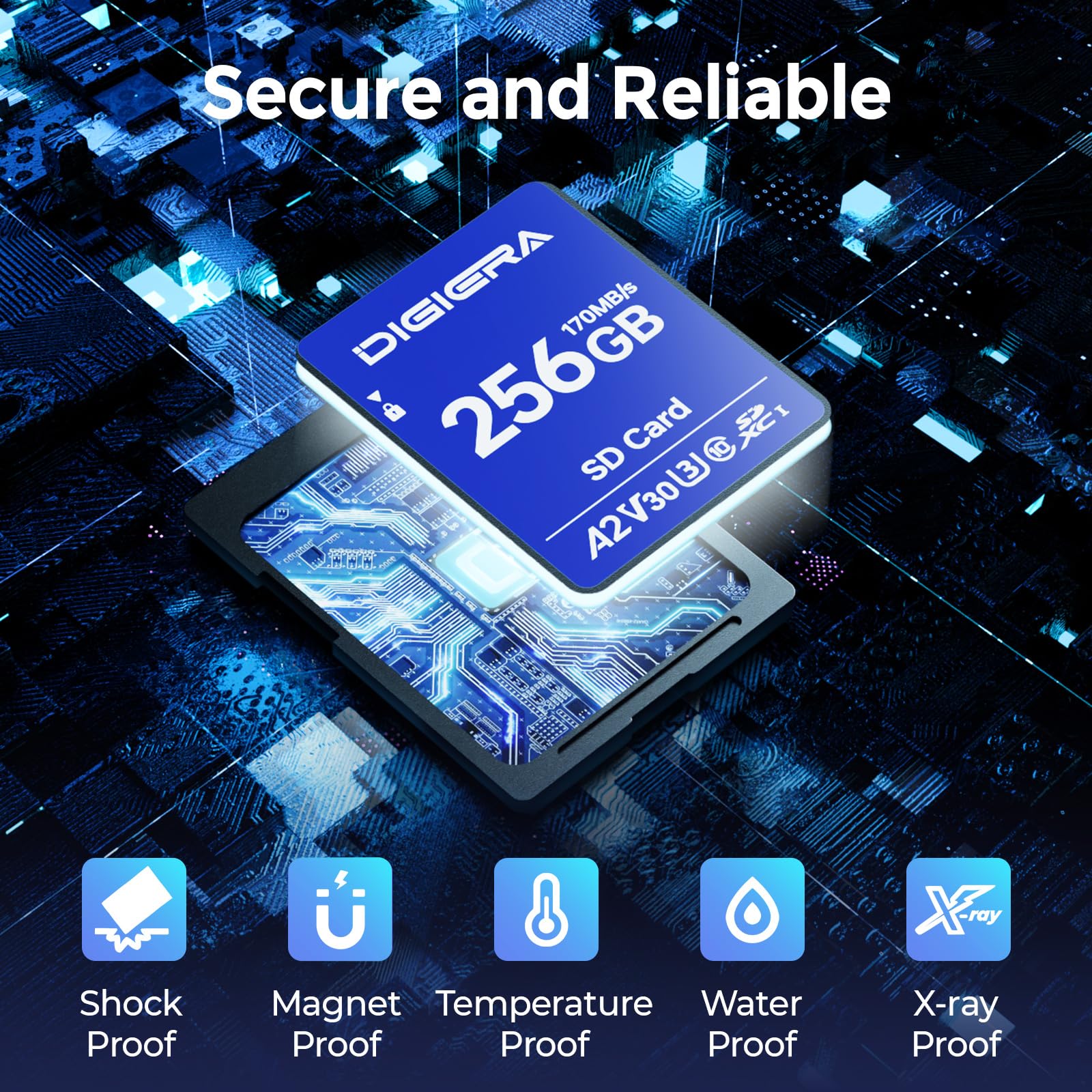 DIGIERA 256GB LS100 SDXC UHS-I Memory Card - up to 170MB/s, C10, U3, V30, 4K UHD, SD Card for Computers, Digital Cameras, Home Theatre Devices, Car Navigation Systems (1 Pack)