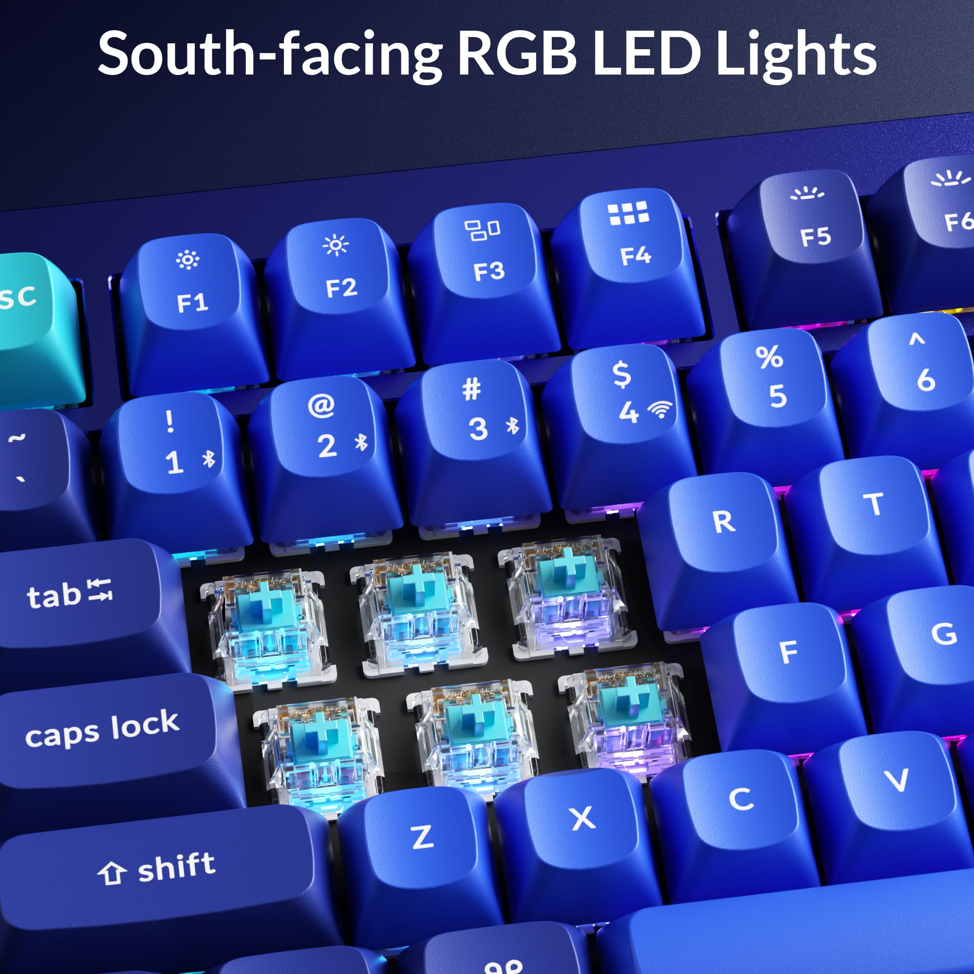 Keychron Q1 RGB Wired Custom Mechanical Keyboard, 75% Layout QMK/VIA Programmable Macro with Hot-swappable Gateron G Pro Blue Switch Double Gasket Compatible with Mac Windows Linux (Blue) -Version 2