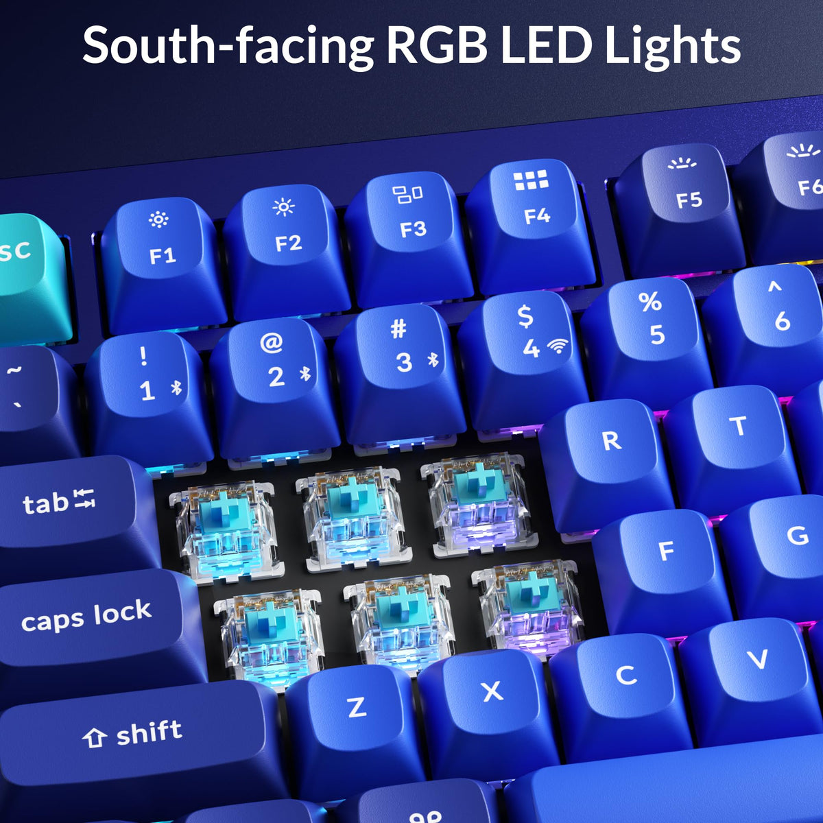 Keychron Q1 RGB Wired Custom Mechanical Keyboard, 75% Layout QMK/VIA Programmable Macro with Hot-swappable Gateron G Pro Blue Switch Double Gasket Compatible with Mac Windows Linux (Blue) -Version 2