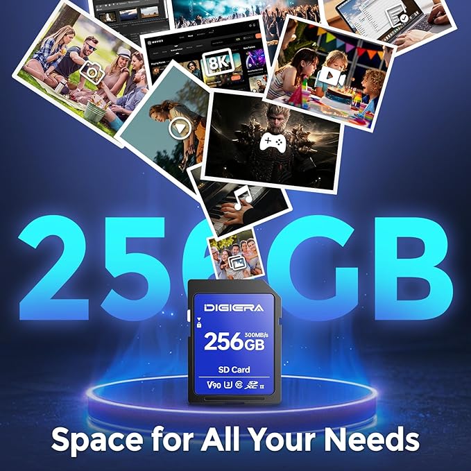 256GB LSU200 SDXC UHS-II Memory Card - up to 300MB/s, C10, U3, V90, 8K, SD Card for Computers, Digital Cameras, Home Theatre Devices, Car Navigation Systems (1 Pack)