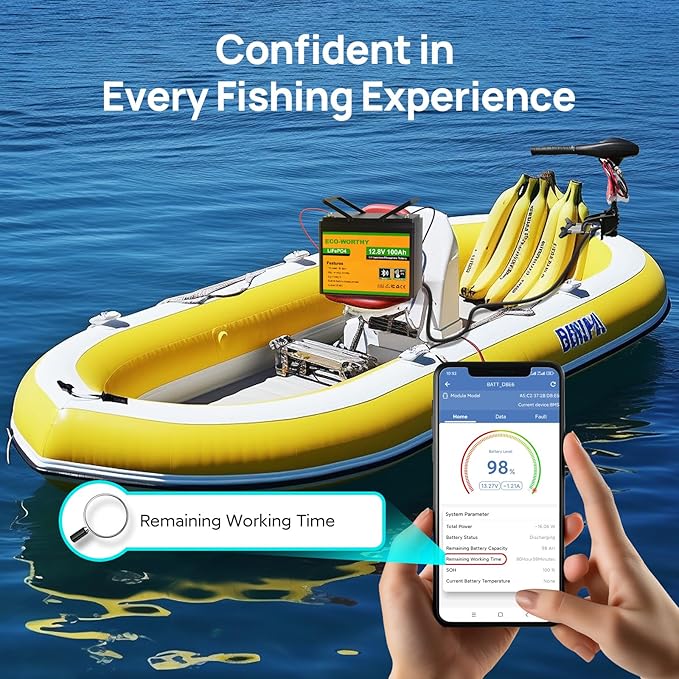 ECO-WORTHY 12V 100AH LiFePO4 Lithium Battery with Bluetooth, Max.1280Wh Energy, Low Temperature Protection, Group 24, Built-in 100A BMS, Perfect for Trolling Motor, RV, Boat, Solar Off-Grid