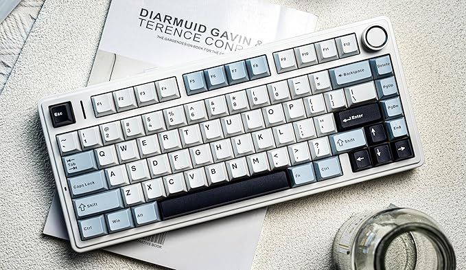 EPOMAKER x Aula F75 Gasket Mechanical Keyboard, 75% Wireless Hot Swappable Gaming Keyboard with Five-Layer Padding&Knob, Bluetooth/2.4GHz/USB-C, RGB (Light Blue, LEOBOG Reaper Switch)