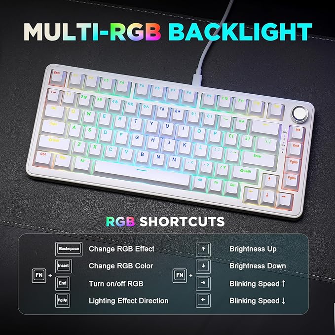 YUNZII B75 Mechanical Keyboard,75% Layout with Knob,Hot Swappable RGB Backlit Gasket Mounted, Creamy Typing, Double-Shot PBT Keycaps,Cherry Profile,for Win/Mac (White, Blue Grey Tactile Switch)