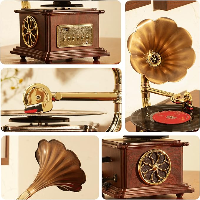 Vintage Style Wooden Record Player with Bluetooth, USB, AUX, FM Radio and Built-in Speakers (109HJ-1)
