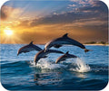 Coastal Shoreline Waves Sandy Beach Theme Mouse Pad Mat Mousepad for Desk Computer Laptop PC Gaming Home or Office Gift (Dolphin Sunset MP18)